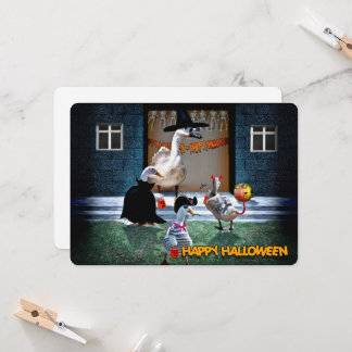 Trick or Treat Halloween Party Invitation