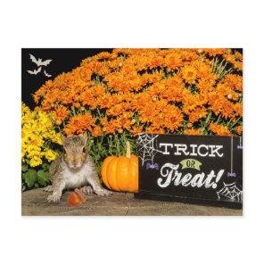 Trick or Treat Halloween Squirrel  Holiday Postcard