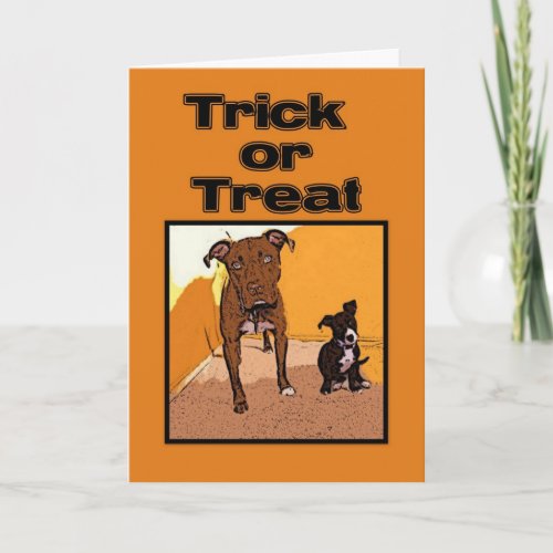 Trick or Treat Happy Halloween Dogs Card