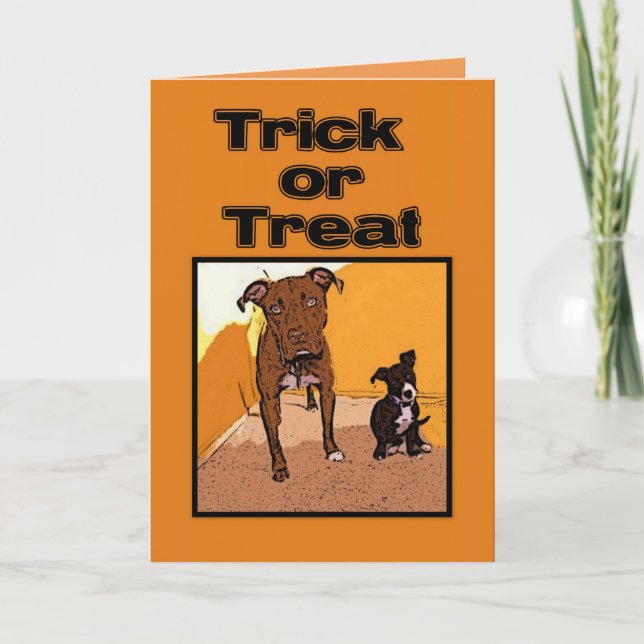 Trick or Treat Happy Halloween Dogs Card (Front)