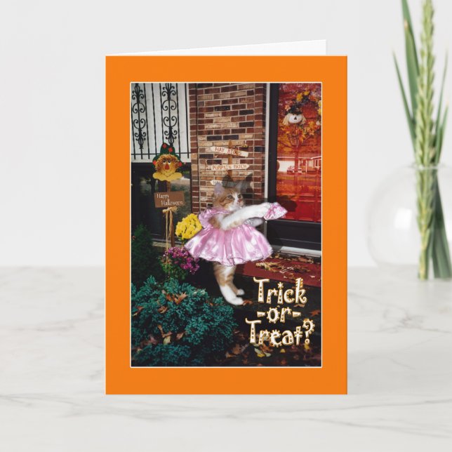 Trick-or-Treat Kitty - Happy Halloween! Card (Front)
