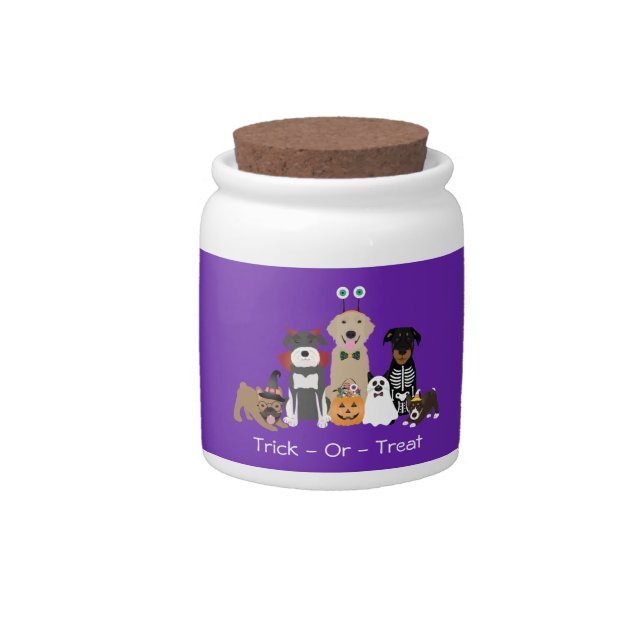 Trick Or Treat Pets Halloween Costumes Candy Jar (Front)