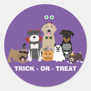 Trick Or Treat Pets Halloween Costumes Classic Round Sticker