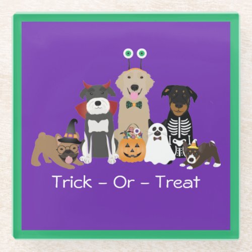 Trick Or Treat Pets Halloween Costumes Glass Coaster
