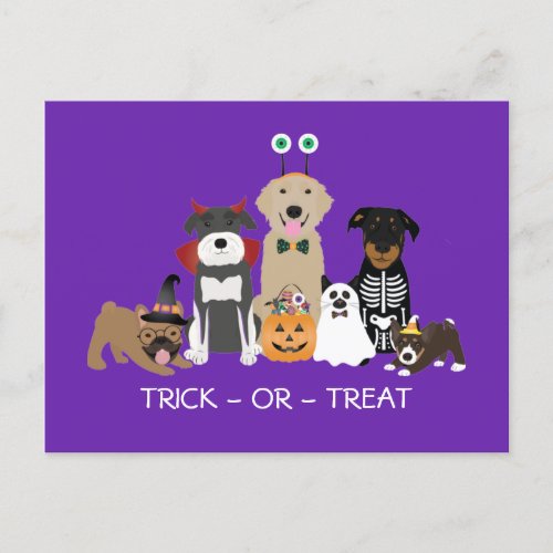 Trick Or Treat Pets Halloween Costumes Postcard