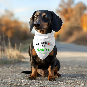 Trick or Treat Smell My Paws Gifts Pet Bandana Collar