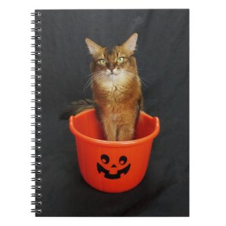 Trick or Treat Somali Cat Notebook