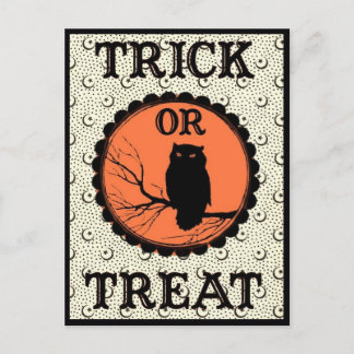 Trick or Treat Spooky Halloween Owl Postcard