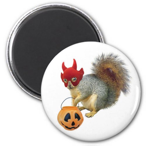 Trick or Treat Squirrel Magnet