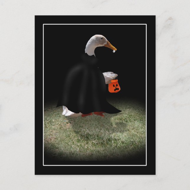 Trick or Treat Time for Dracula Duck Postcard (Front)