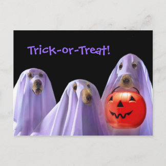Trick-or-Treating Ghost Dogs Halloween Postcard