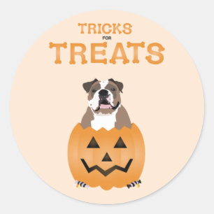 Tricks For Treats English Bulldog Orange Classic Round Sticker