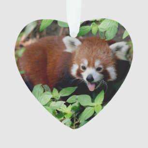 Tricksy Red Panda, Customizable Ornament