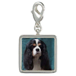 Tricolor Cavalier Charm