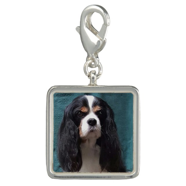 Tricolor Cavalier Charm (Front)