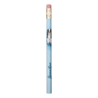 Tricolor Cavalier King Charles Spaniel Dog On Blue Pencil
