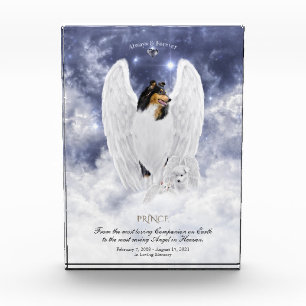 Tricolor Collie Angel & Cherubim - Pet Memorial Photo Block