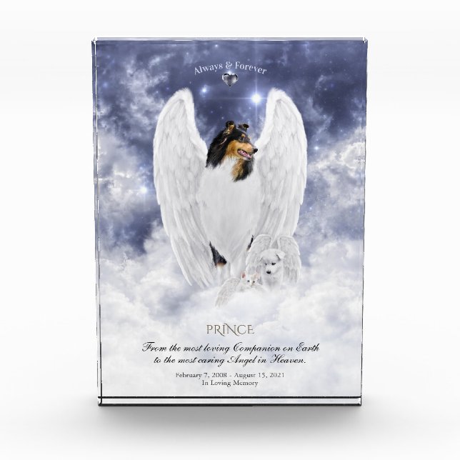 Tricolor Collie Angel & Cherubim - Pet Memorial Photo Block (Front)