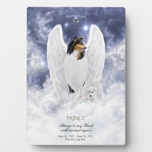 Tricolor Collie Angel in Dog Heaven _ Pet Memorial Plaque