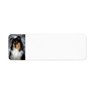 Tricolor Collie Label