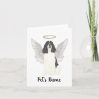 Tricolor English Springer Spaniel Sympathy 