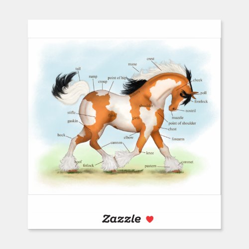 Tricolor Overo Pinto Gypsy Horse Anatomy Chart Sticker