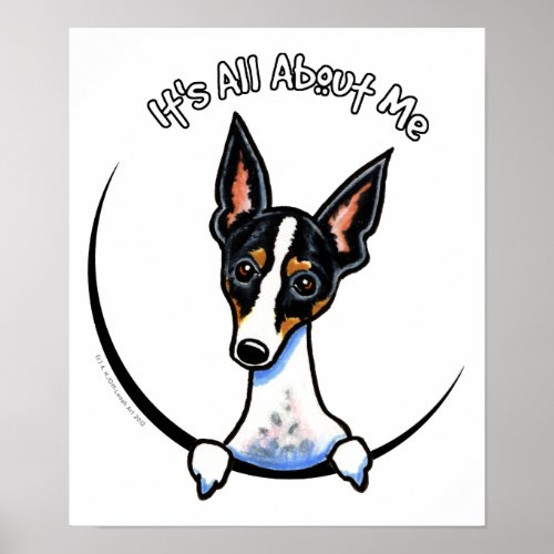 Tricolor Rat Terrier IAAM Poster