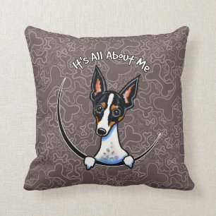 Tricolor Rat Terrier IAAM Throw Pillow