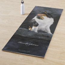 Tricolor Rough Collie Dog Portrait on Black - Yoga