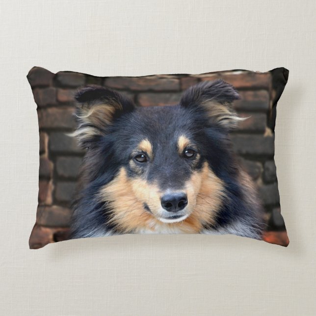 Tricolor Sheltie Accent Pillow (Front)