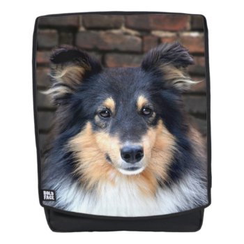 Tricolor Sheltie Face Backpack by deemac1 at Zazzle