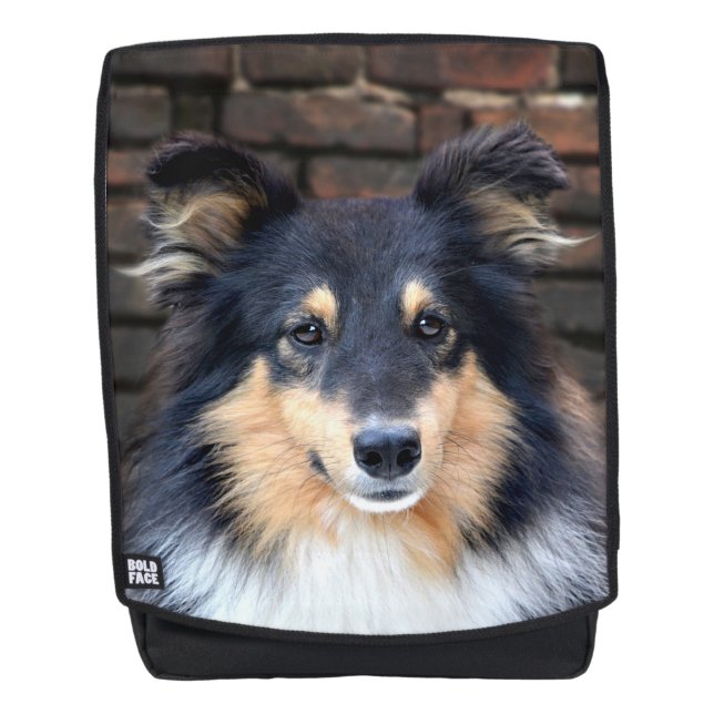 Tricolor Sheltie face Backpack (Front)
