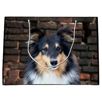 Tricolor Sheltie Face Large Gift Bag by deemac1 at Zazzle