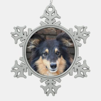 Tricolor Sheltie Face Snowflake Pewter Christmas Ornament by deemac1 at Zazzle