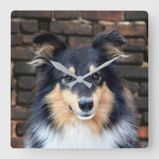 Tricolor Sheltie face Square Wall Clock