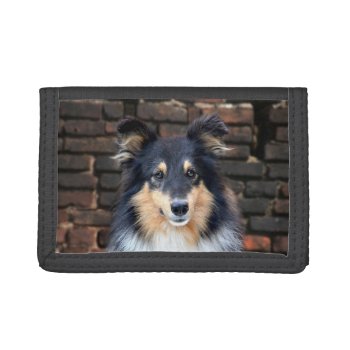 Tricolor Sheltie Face Trifold Wallet by deemac1 at Zazzle