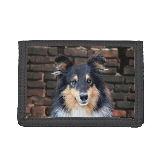 Tricolor Sheltie face Trifold Wallet (Front)