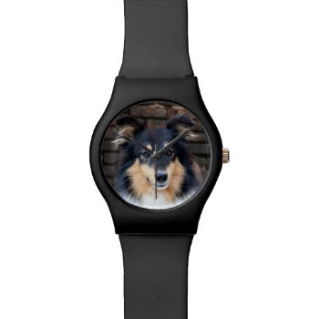 Tricolor Sheltie Face Watch by deemac1 at Zazzle