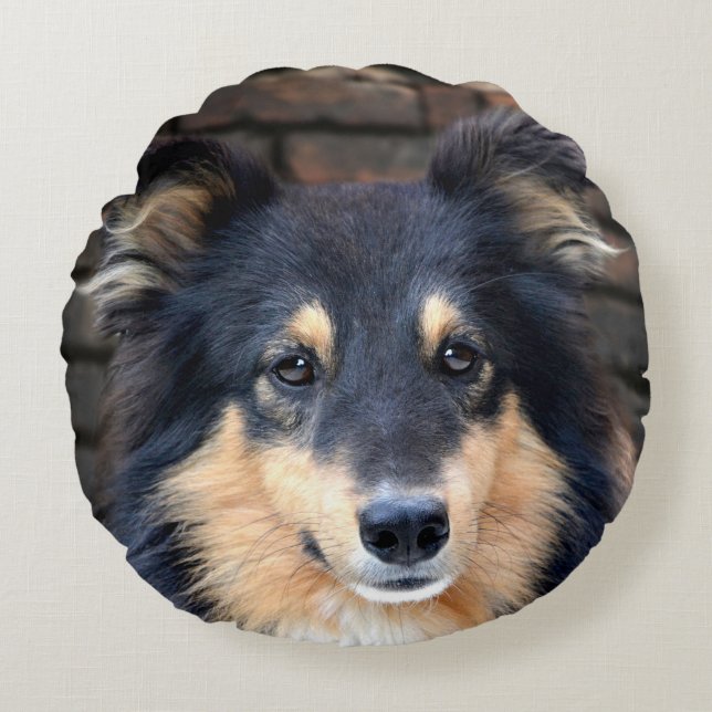 Tricolor Sheltie Round Pillow (Front)