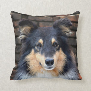 Tricolor Sheltie Throw Pillow