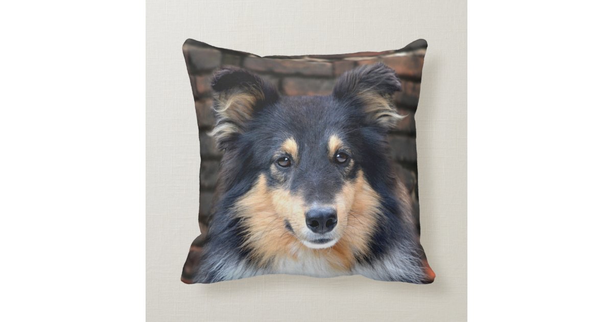 sheltie christmas pillow