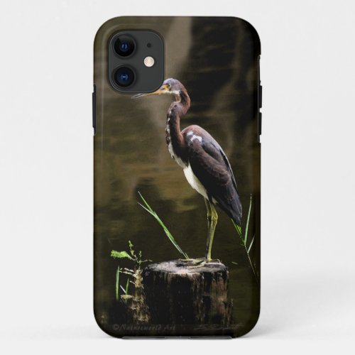 Tricolored Heron iPhone5 Case