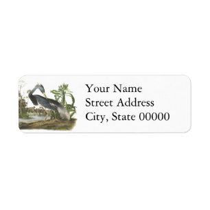 Tricolored Heron, John Audubon Label