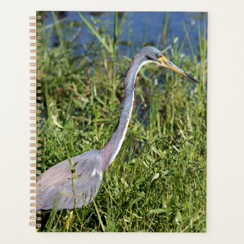 Tricolored Heron Planner