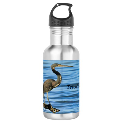 Tricolored Heron Water Bottle