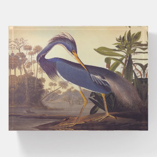 Tricolored Louisiana Heron by John James Audubon Paperweight