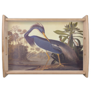 Tricolored Louisiana Heron by John James Audubon Serving Tray