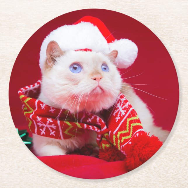 Trident the Cat Coasters (Front)