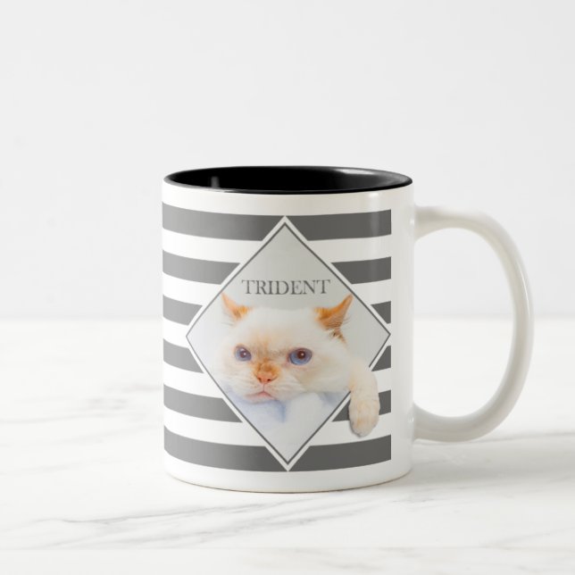 Trident the Cat Striped Coffee Mug_01 Two-Tone Coffee Mug (Right)