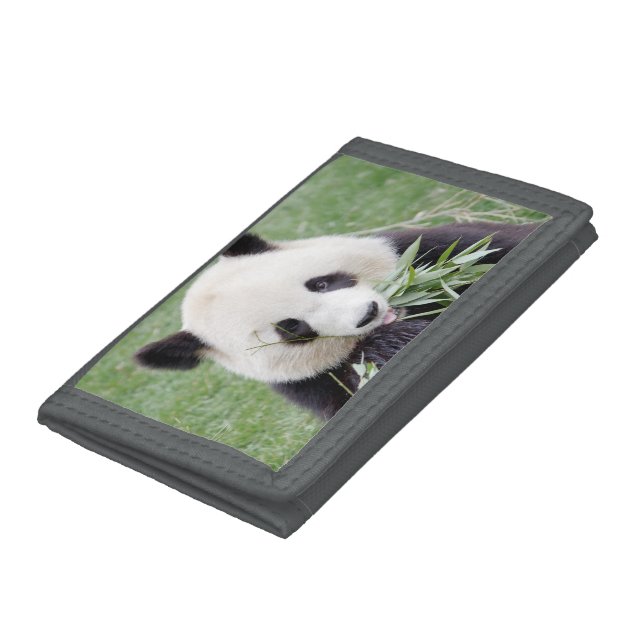Trifold Wallet Photo giant panda , animals. (Bottom)